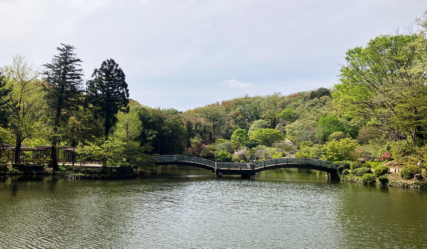 薬師池公園のご紹介