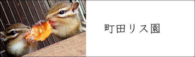 町田リス園