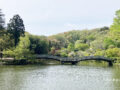 町田薬師池公園