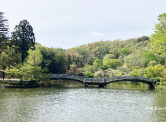 町田薬師池公園