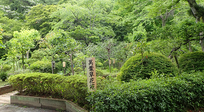 萬葉草花苑