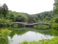 薬師池公園