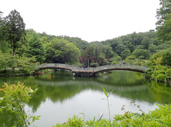 薬師池公園
