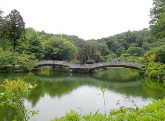 薬師池公園