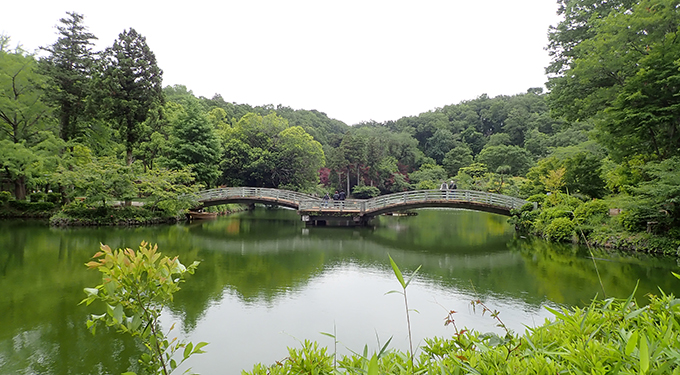 薬師池公園