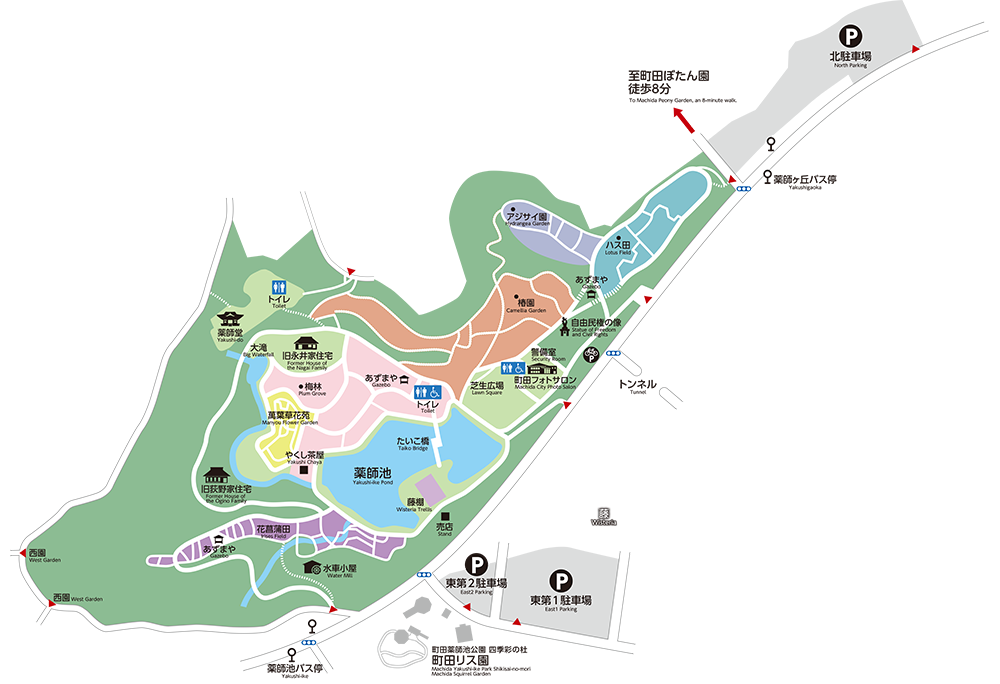 薬師池MAP